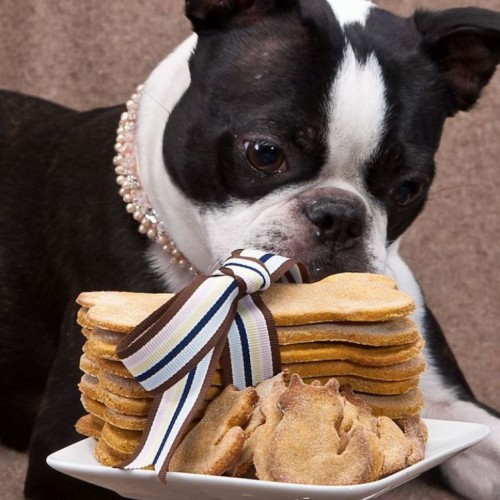 Doggy Treat Mix Doggy Treat Mix